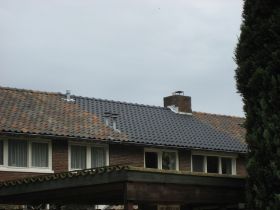 Pannenkap 06.JPG