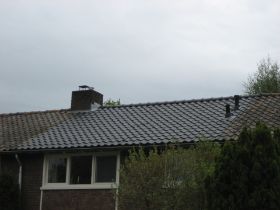 Pannenkap 07.JPG