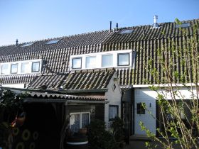 Pannenkap 09.JPG